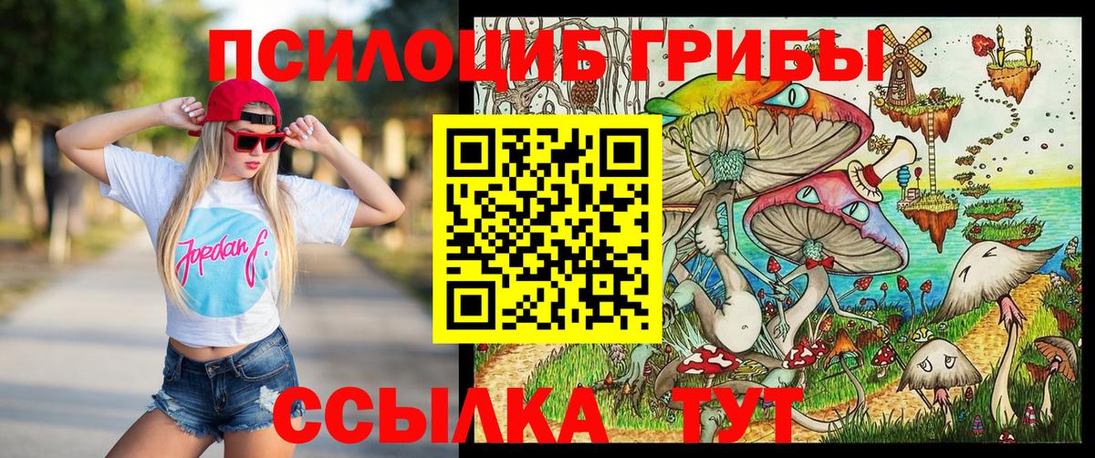 Псилоцибиновые грибы MAGIC MUSHROOMS  Вход с VPN  Благовещенск 